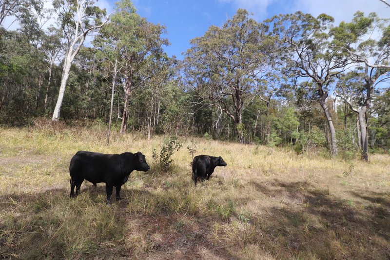 Photo - Mount Fox QLD 4850 - Image 6