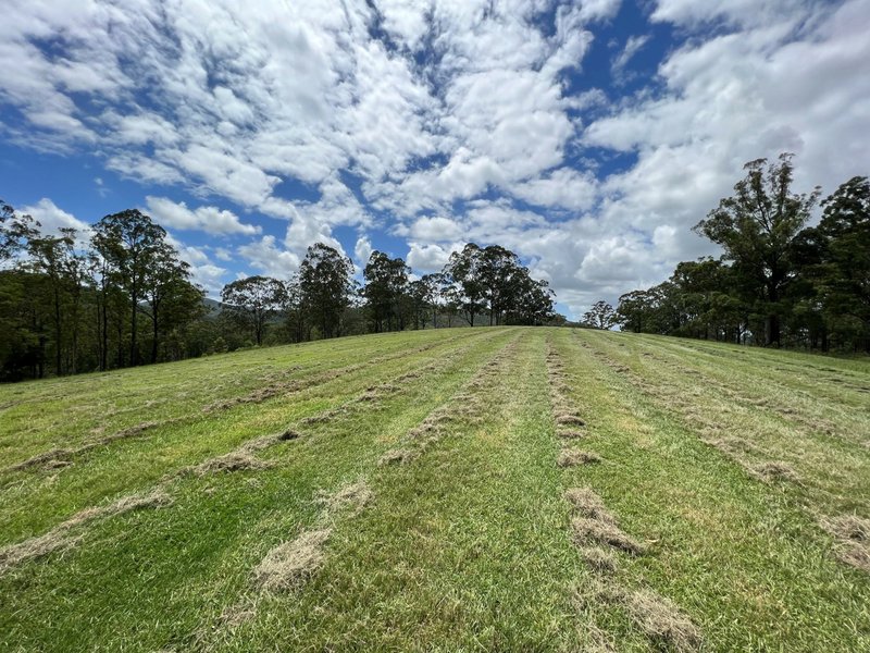 Photo - Mount George NSW 2424 - Image 10