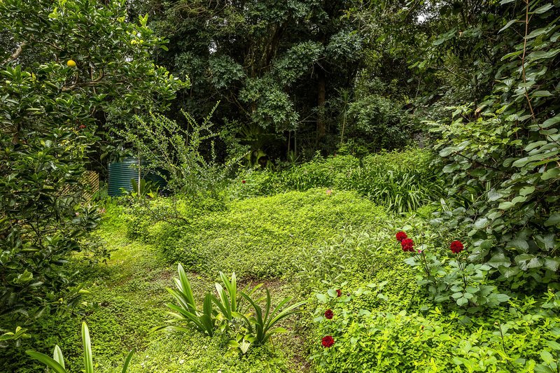 Photo - Mount Glorious QLD 4520 - Image 30