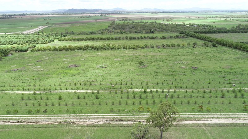 Photo - Mount Kelly QLD 4807 - Image 5