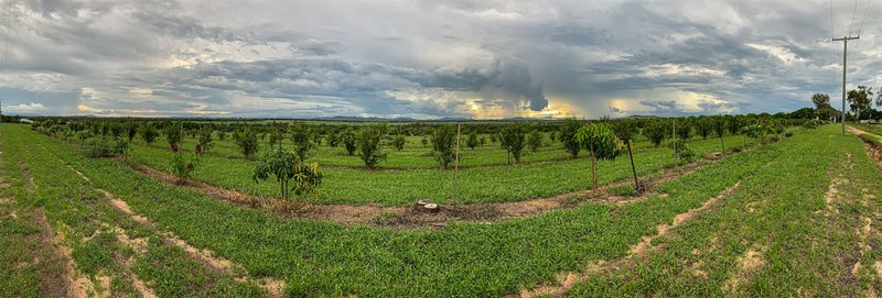 Photo - Mount Kelly QLD 4807 - Image 8