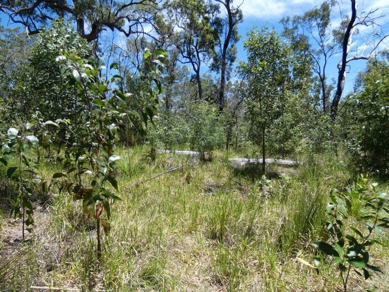 Photo - Mount Maria QLD 4674 - Image 18