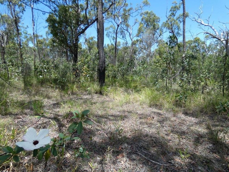 Photo - Mount Maria QLD 4674 - Image 19