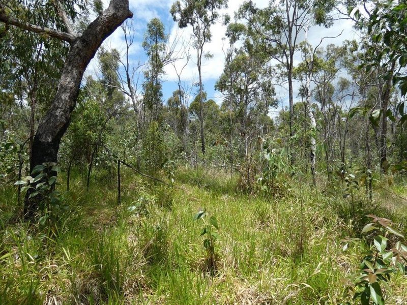 Photo - Mount Maria QLD 4674 - Image 23