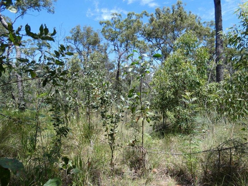 Photo - Mount Maria QLD 4674 - Image 25