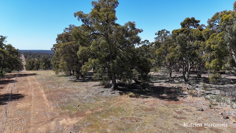 Photo - Mount Observation WA 6302 - Image 20