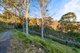 Photo - 'Mount Whitestone Paradise' 197 Dry Gully Road, Mount Whitestone QLD 4347 - Image 29