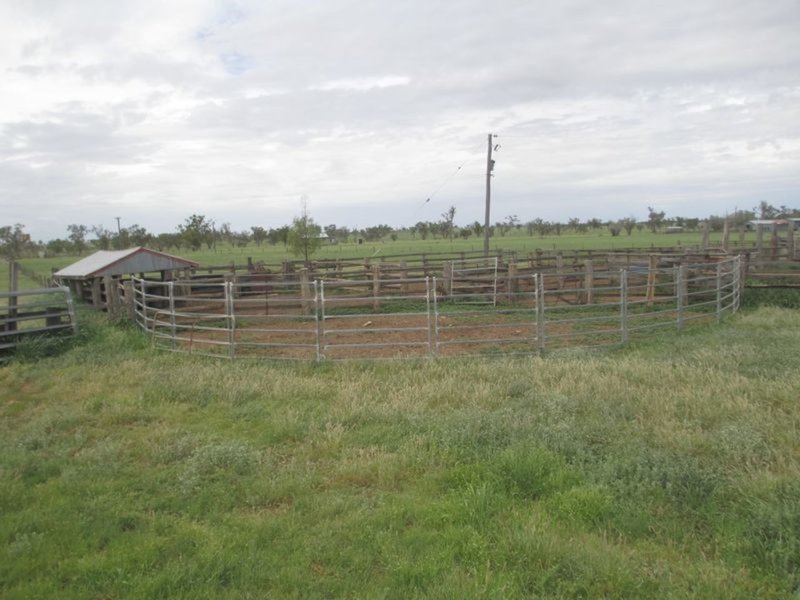 Photo - Mt Abundance Road, Roma QLD 4455 - Image 2