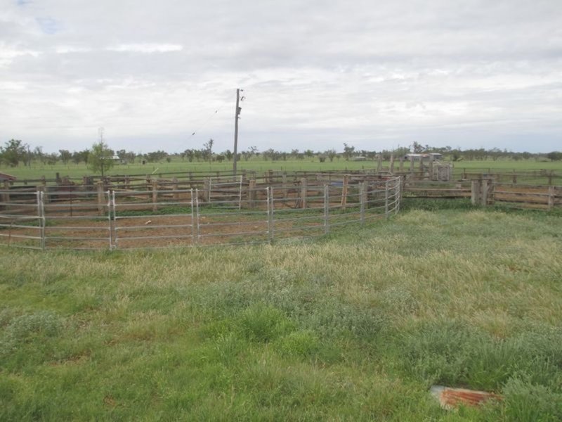 Photo - Mt Abundance Road, Roma QLD 4455 - Image 7