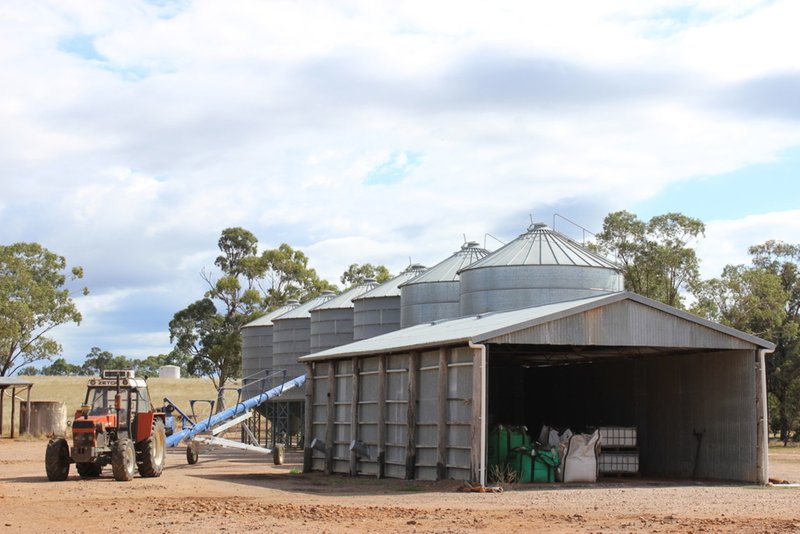 Photo - Mullaley NSW 2379 - Image 7