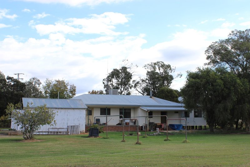 Photo - Mullaley NSW 2379 - Image 10