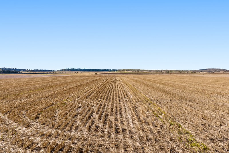 Photo - "Mullers Flat" Lot 2022 Oakey Pittsworth Road, Aubigny QLD 4401 - Image 5