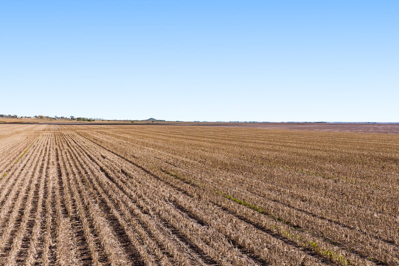 Photo - "Mullers Flat" Lot 2022 Oakey Pittsworth Road, Aubigny QLD 4401 - Image 7