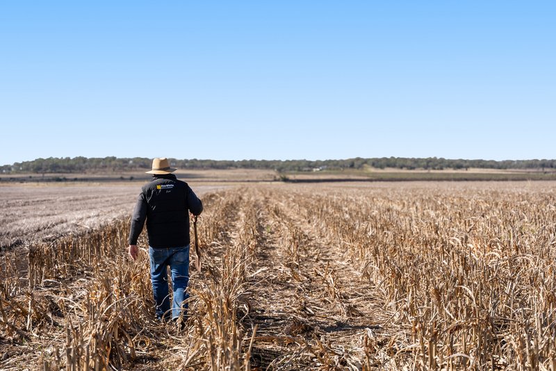 Photo - "Mullers Flat" Lot 2022 Oakey Pittsworth Road, Aubigny QLD 4401 - Image 8