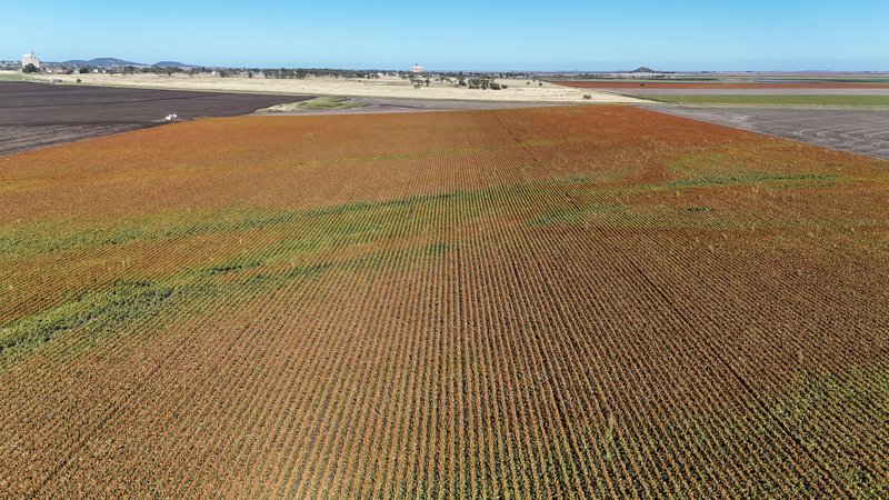 Photo - "Mullers Flat" Lot 2022 Oakey Pittsworth Road, Aubigny QLD 4401 - Image 12