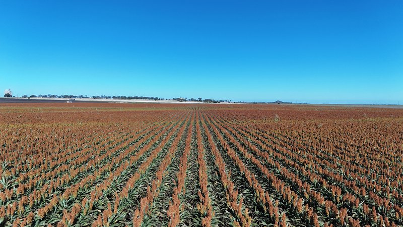 Photo - "Mullers Flat" Lot 2022 Oakey Pittsworth Road, Aubigny QLD 4401 - Image 13