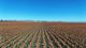 Photo - "Mullers Flat" Lot 2022 Oakey Pittsworth Road, Aubigny QLD 4401 - Image 13