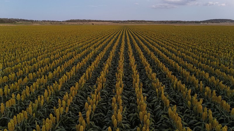 Photo - "Mullers Flat" Lot 2022 Oakey Pittsworth Road, Aubigny QLD 4401 - Image 14