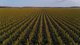 Photo - "Mullers Flat" Lot 2022 Oakey Pittsworth Road, Aubigny QLD 4401 - Image 14