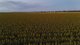 Photo - "Mullers Flat" Lot 2022 Oakey Pittsworth Road, Aubigny QLD 4401 - Image 15