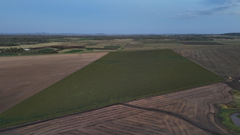 Photo - "Mullers Flat" Lot 2022 Oakey Pittsworth Road, Aubigny QLD 4401 - Image 17