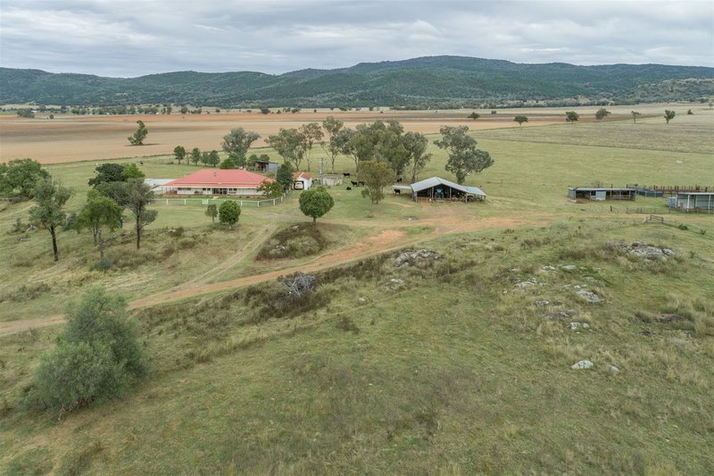 Photo - Myoora/526 Wimborne Road, Manilla NSW 2346 - Image 8