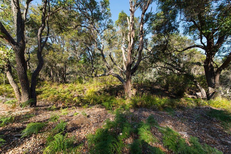 Photo - Nannup WA 6275 - Image 14