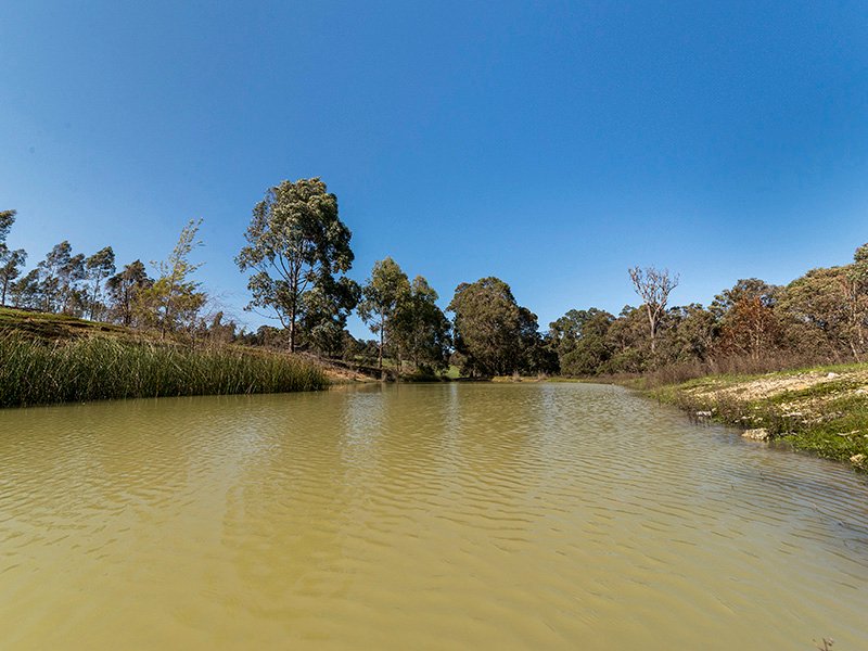 Photo - Nannup WA 6275 - Image 13