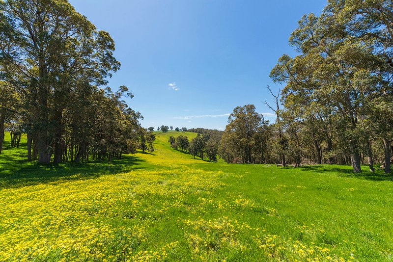 Photo - Nannup WA 6275 - Image 15