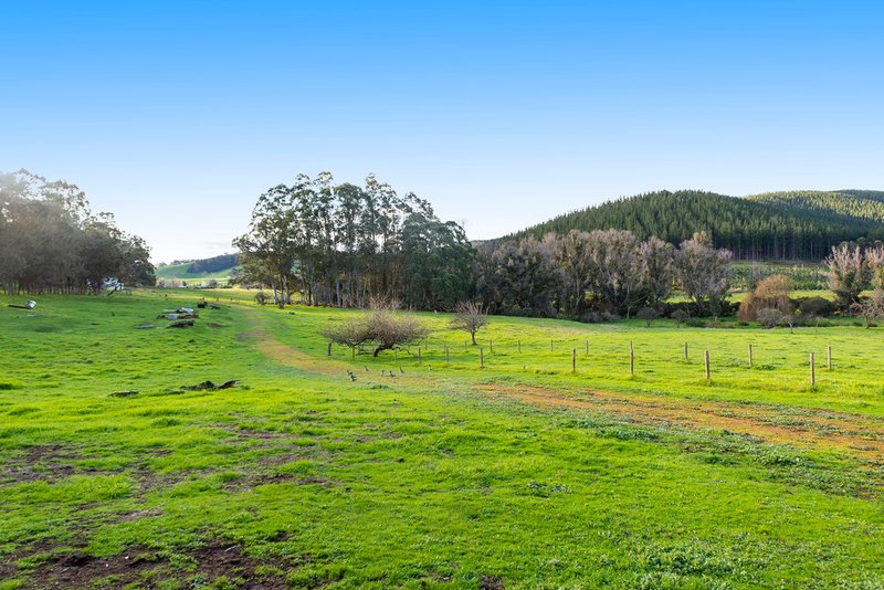 Photo - Nannup WA 6275 - Image 16