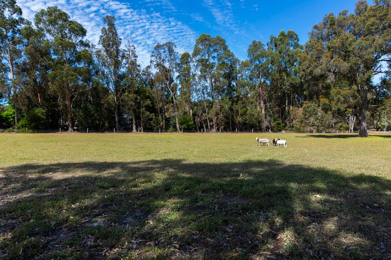 Photo - Nannup WA 6275 - Image 20