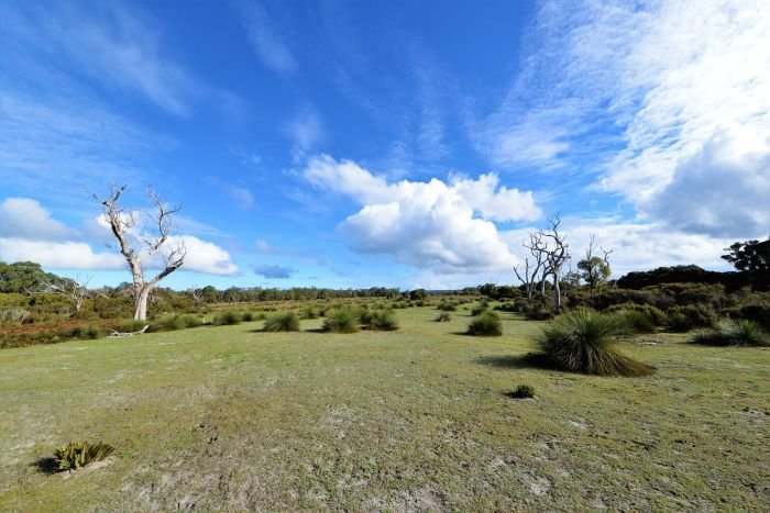 Photo - Nannup WA 6275 - Image 6