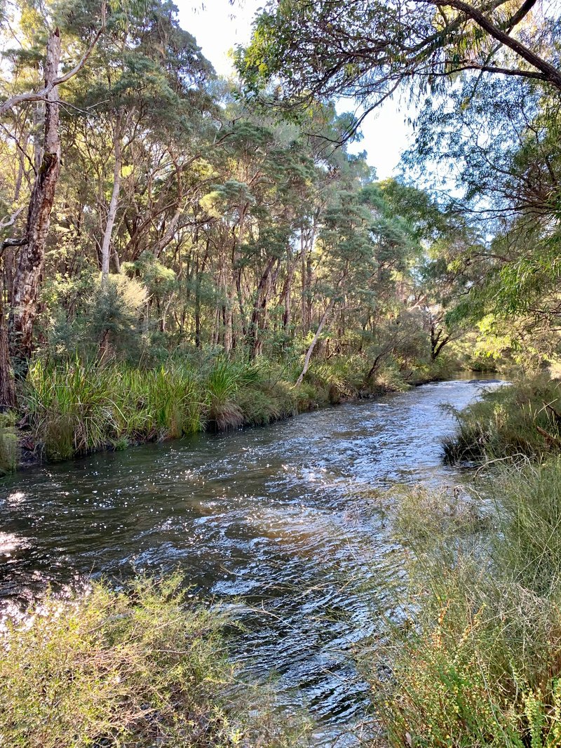 Photo - Nannup WA 6275 - Image 18