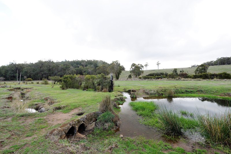 Photo - Nannup WA 6275 - Image 8