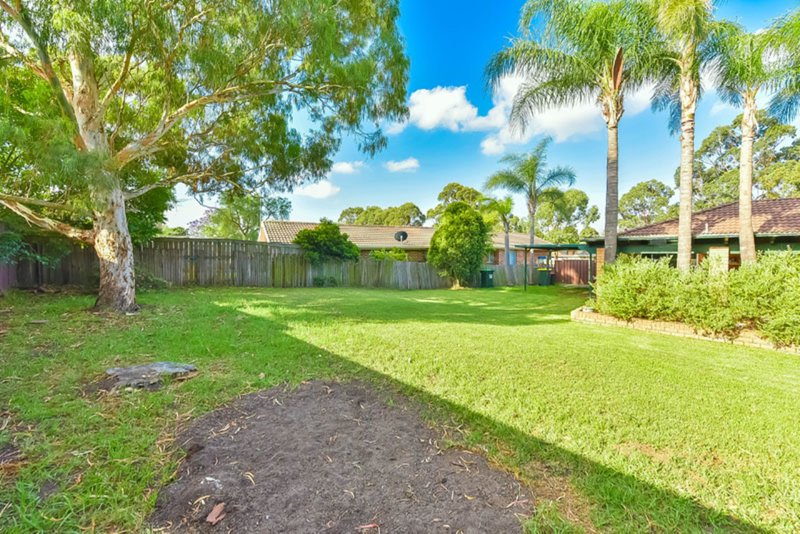 Photo - Narellan Vale NSW 2567 - Image 7