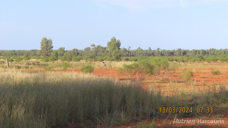 Photo - NARRI STATION/34890 Hillston Road, Cobar NSW 2835 - Image 10