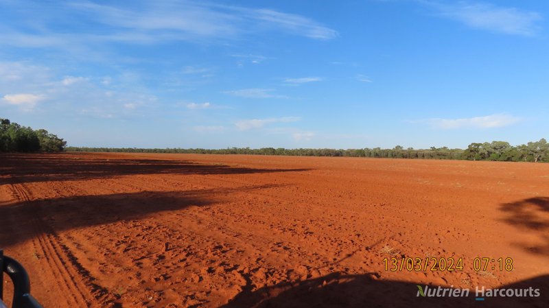 Photo - NARRI STATION/34890 Hillston Road, Cobar NSW 2835 - Image 11