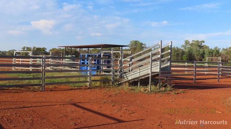 Photo - NARRI STATION/34890 Hillston Road, Cobar NSW 2835 - Image 12