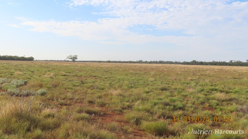 Photo - NARRI STATION/34890 Hillston Road, Cobar NSW 2835 - Image 13