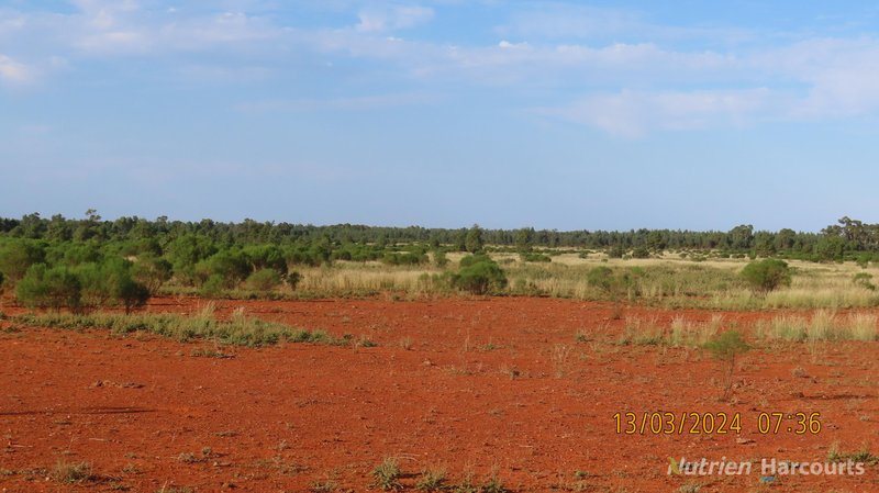 Photo - NARRI STATION/34890 Hillston Road, Cobar NSW 2835 - Image 15