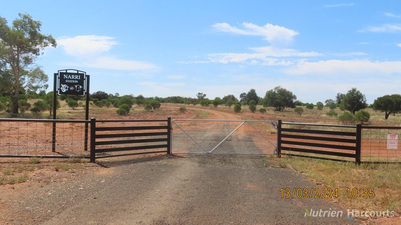 Photo - NARRI STATION/34890 Hillston Road, Cobar NSW 2835 - Image 22