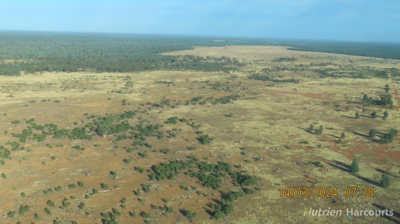 Photo - NARRI STATION/34890 Hillston Road, Cobar NSW 2835 - Image 23