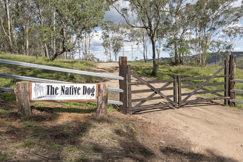 'Native Dog' Mount Neale Road, Ramsay QLD 4358