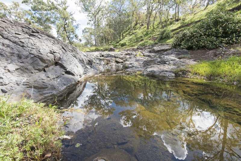 Photo - 'Native Dog' Mount Neale Road, Ramsay QLD 4358 - Image 4