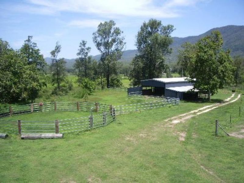 Photo - Netherdale QLD 4756 - Image 2