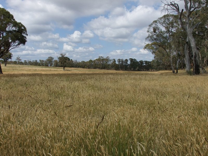 Photo - Neville NSW 2799 - Image 6