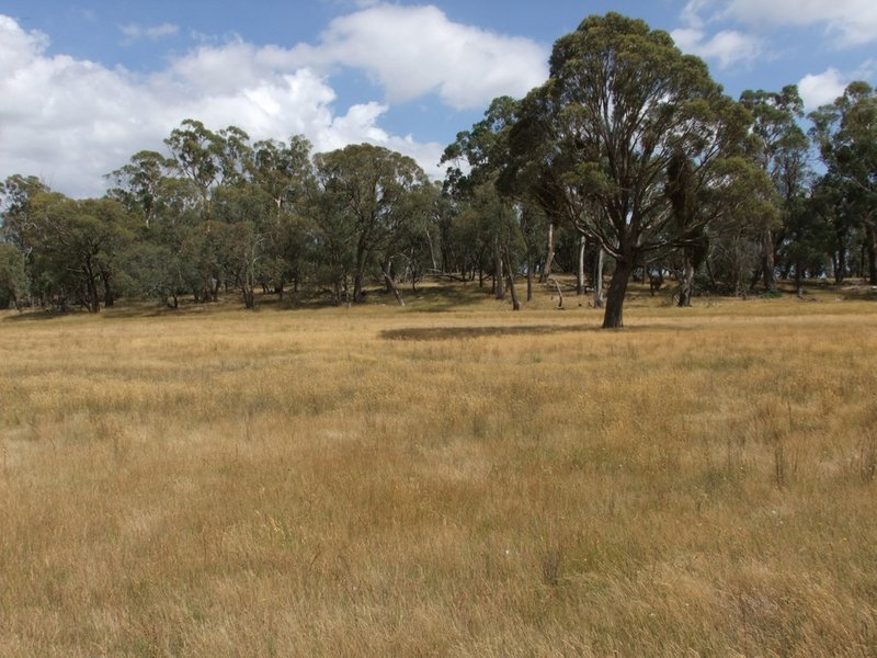 Photo - Neville NSW 2799 - Image 8