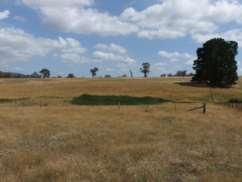 Photo - Neville NSW 2799 - Image 9