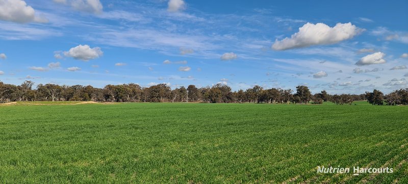 Photo - "Neymerup" Neymerup Road, Kojonup WA 6395 - Image 9