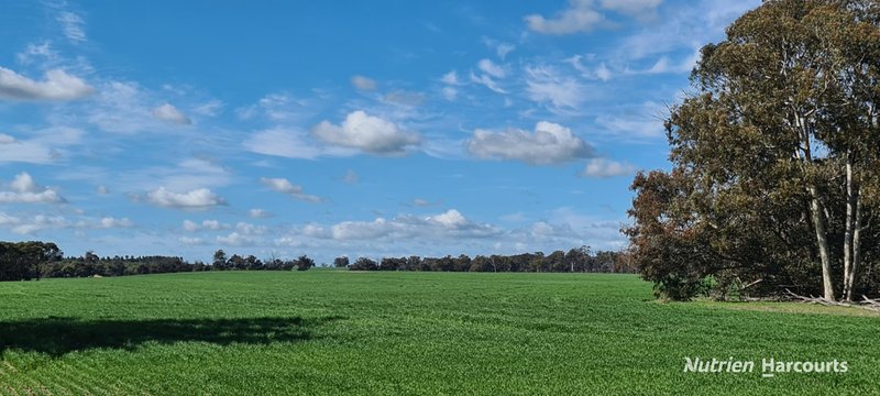 Photo - "Neymerup" Neymerup Road, Kojonup WA 6395 - Image 12